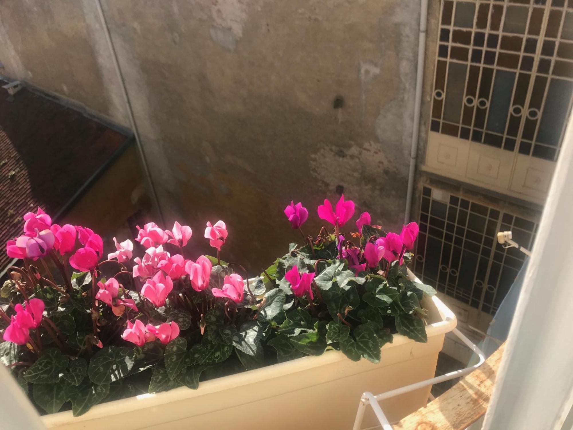 Hotel A Due Passi Dal Duomo Biella Zewnętrze zdjęcie